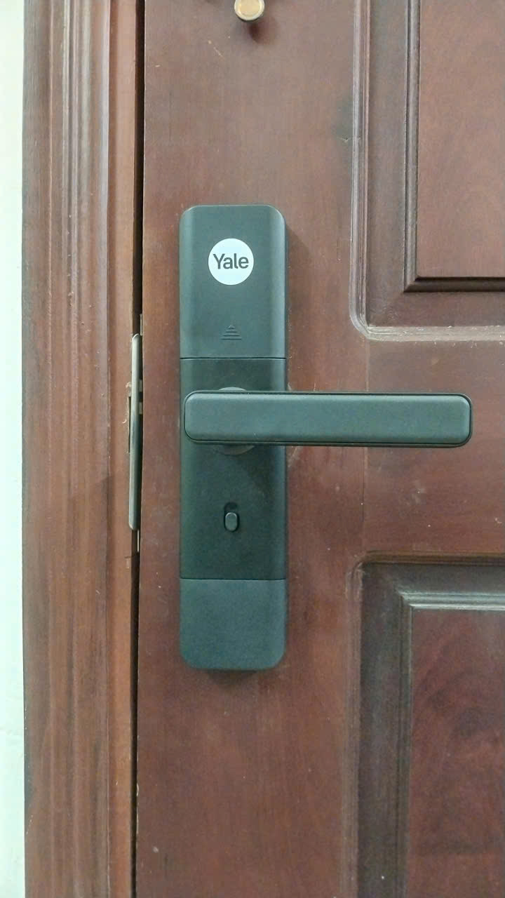 z7261076504114 7dafe98f0924dcd95ec318583be3d416